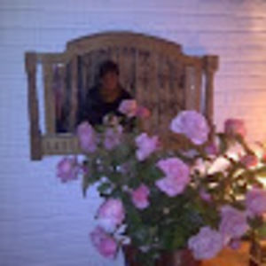 Meet your Posher, Dalia